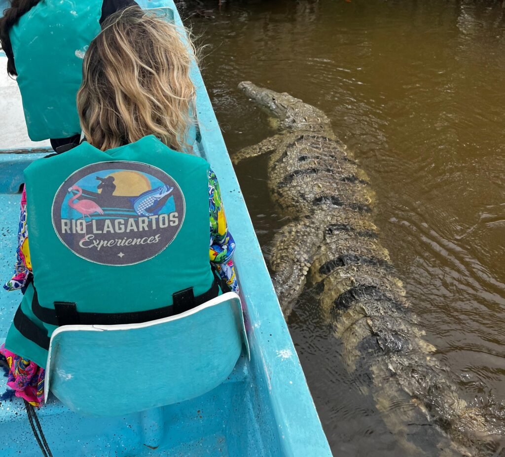 Rio Lagartos Cocodrilos (1)
